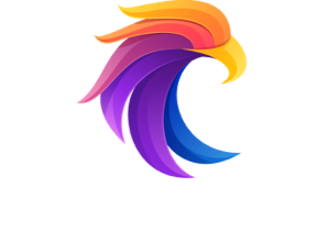 Logo Birds Finance